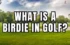 Birdie Golf – Your Easy Guide to Scoring Big!